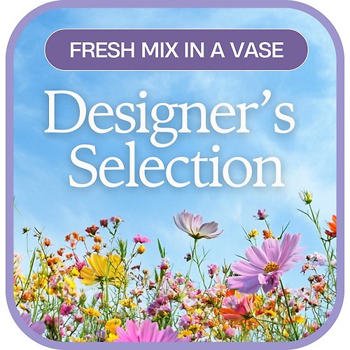 Designer\'s Choice