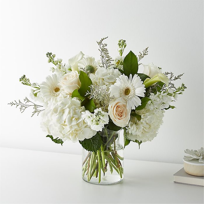 Sun-drenched Blooms