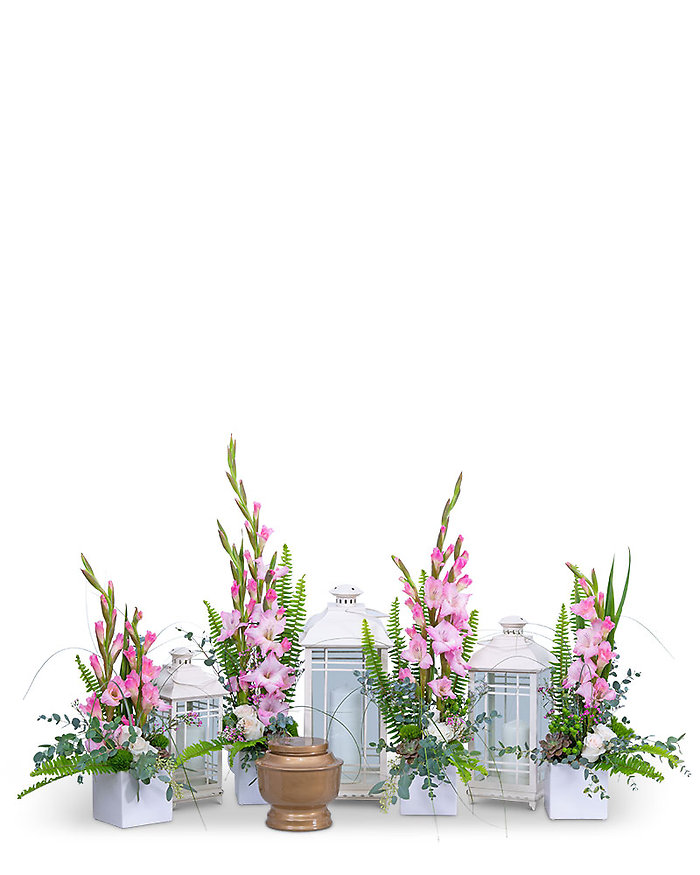 Light of Peace Tribute