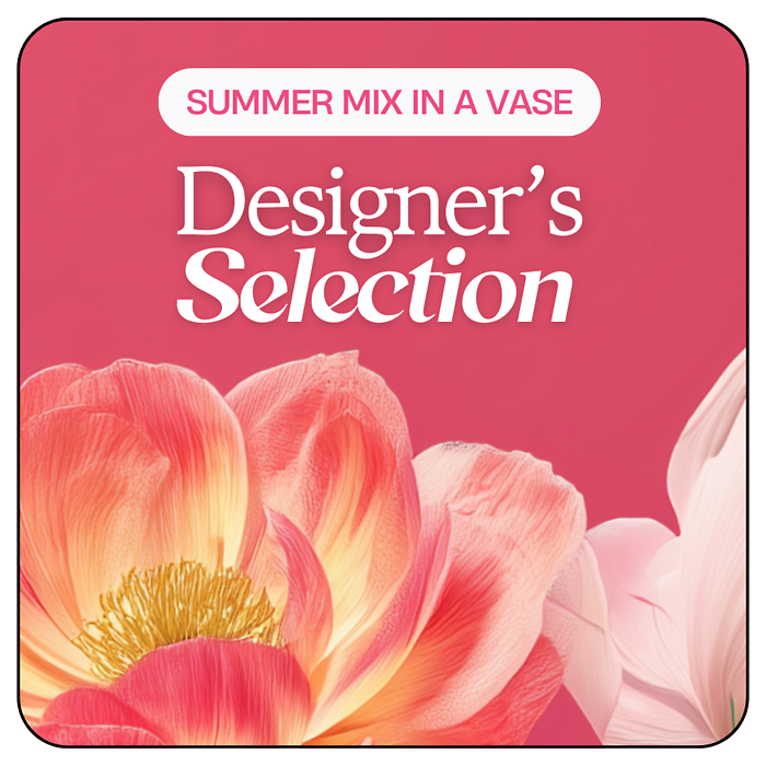 Designer\'s Selection - Summer Mix