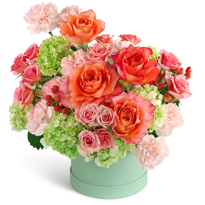 Blooming Coral Garden