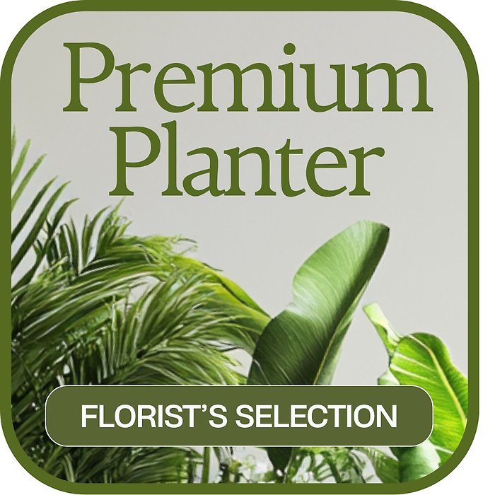 Designer\'s Choice Premium Planter