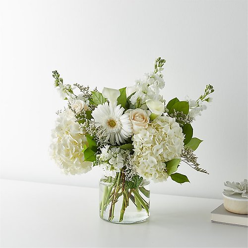 Sun-drenched Blooms