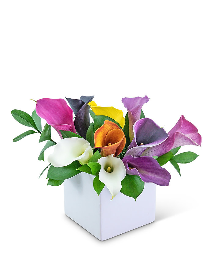 Calming Calla Lilies