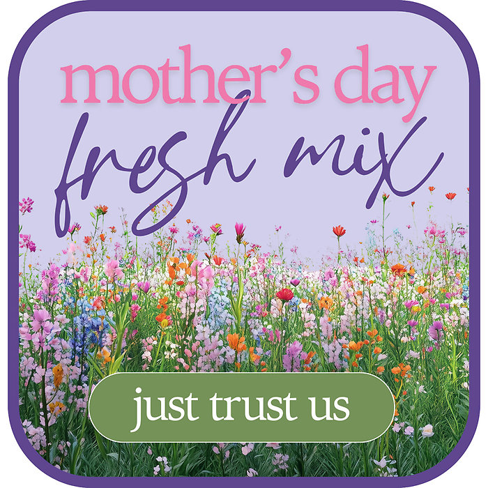 Designer\'s Choice for Mother\'s Day
