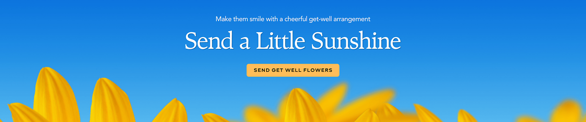 Get Well; Summer