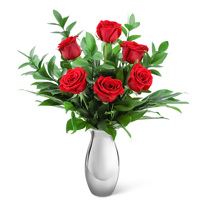 The Classic Six in Silver