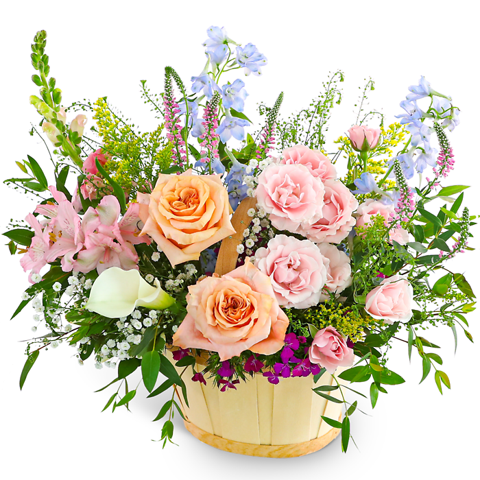 Botanical Bloom Basket