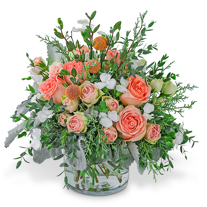 Whimsical Wintertime