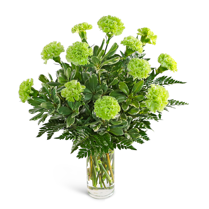 One Dozen Green Carnations