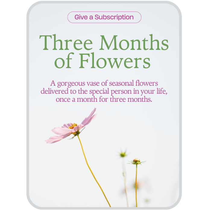 Bouquet of the Month Club (3)