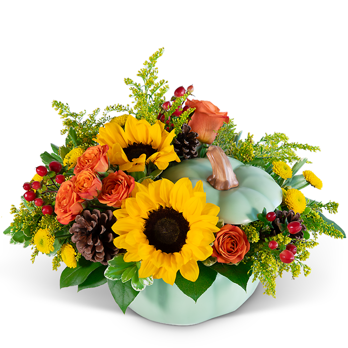 Sage Sunshine Pumpkin