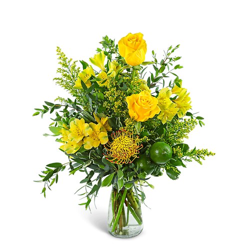 Citrus Zest